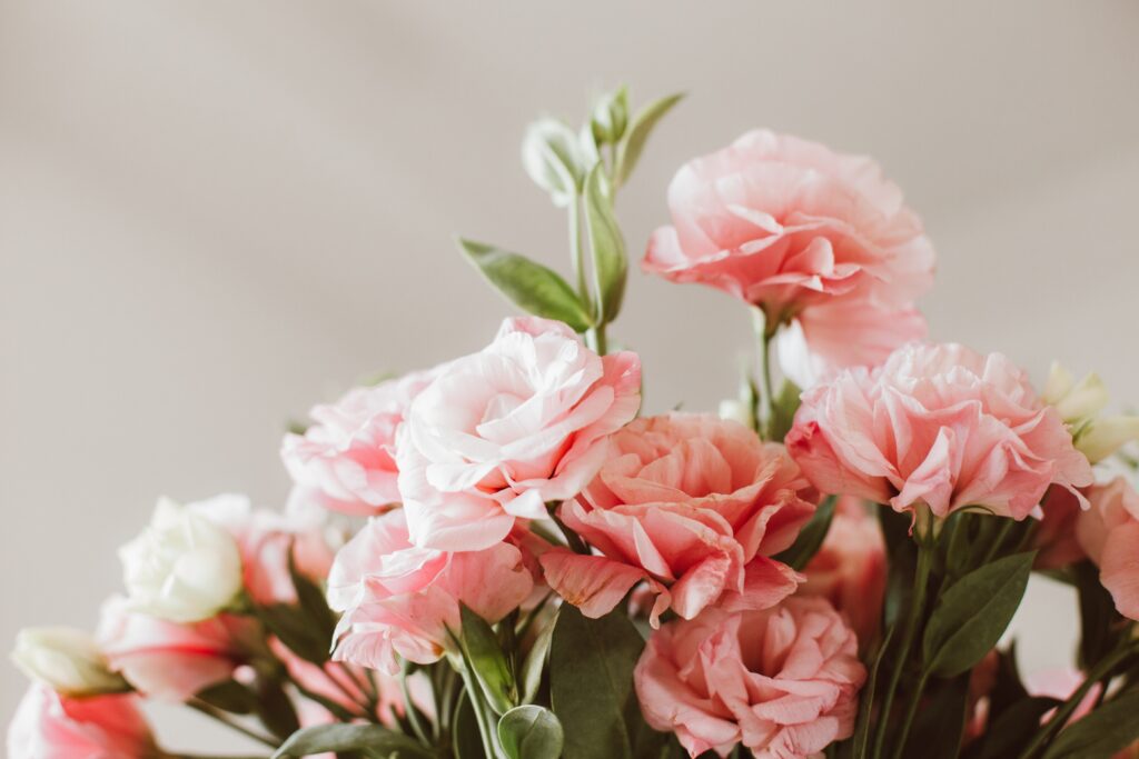 What Do Peonies Symbolize