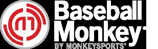 Baseball Monkey