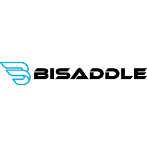 Bisaddle