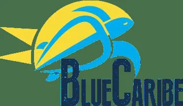 Blue Caribe Tours