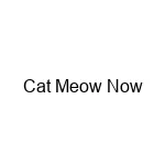 Cat Meow Now