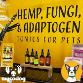 Cbd Dog Health