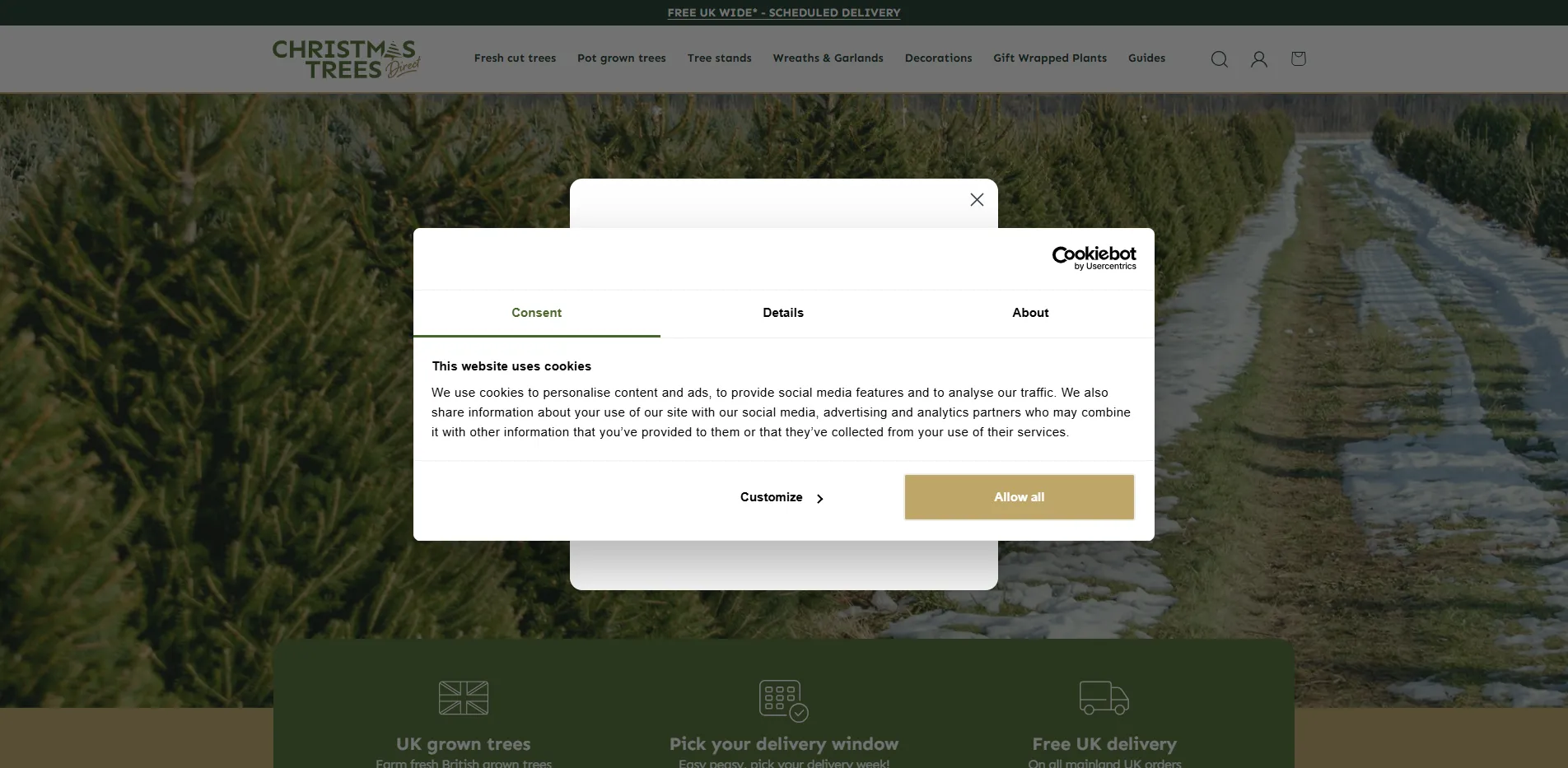 Christmas Trees Direct