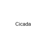 Cicada