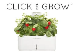 Click & Grow