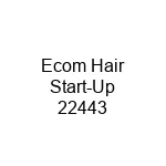 Ecom Hair Start-Up 22443