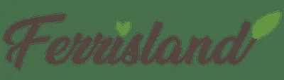 Ferrisland