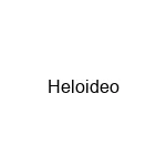 Heloideo