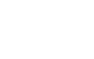 Jerky.com