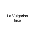 La Vulgarisatrice