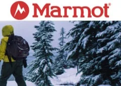 Marmot