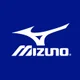 Mizunousa