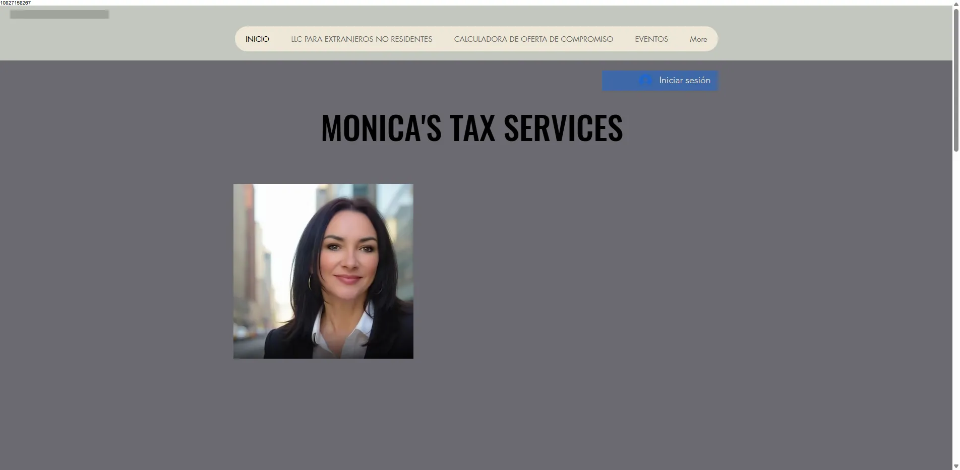 Monica's Tax Services