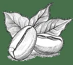 Small Batch Roasting Supplies