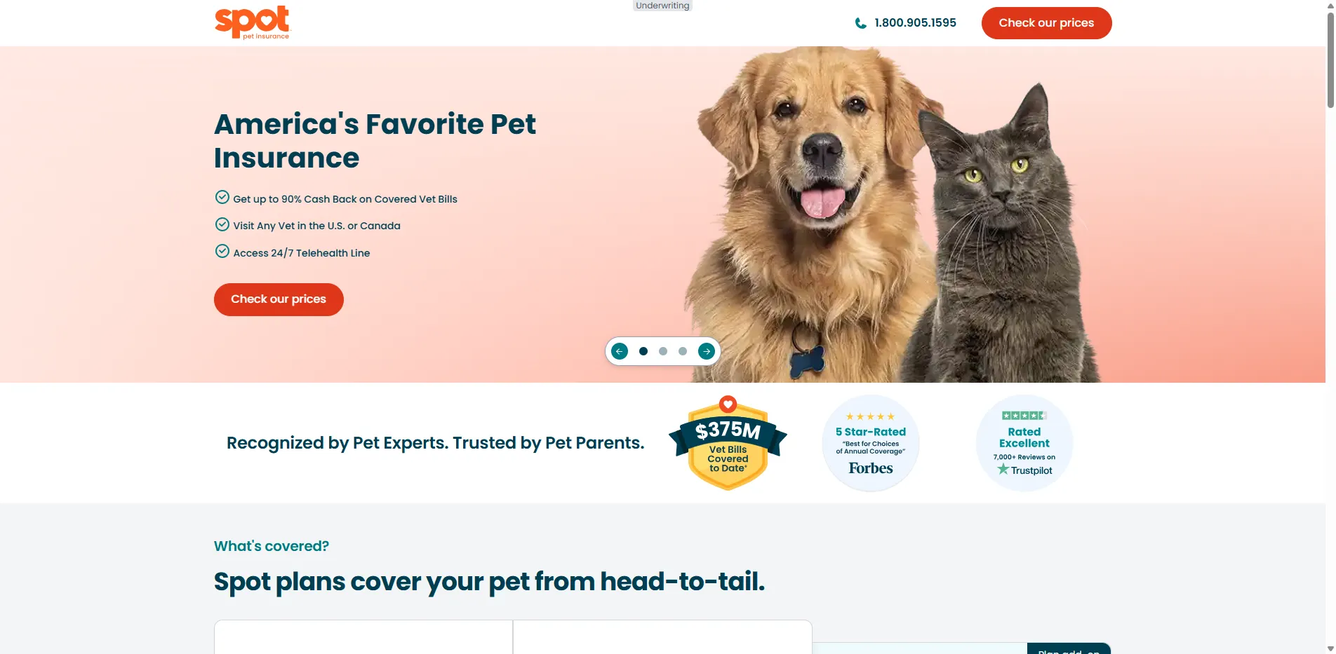 Spot Pet Insurance