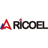 store.ricoel.com