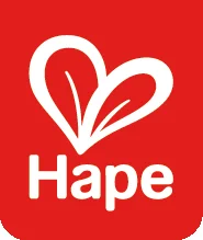 Hape Toys