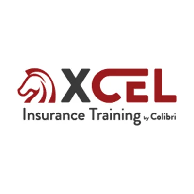 Xcel Solutions